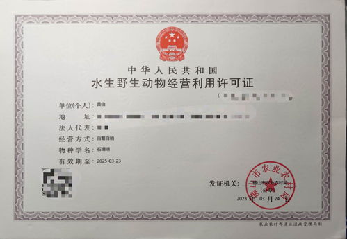 攜手專業力量，共拓水產健康養殖新篇章——誠邀各省市代理加盟